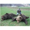 Image 1 : Big Game Hunt in Croatia - 2 Hunters, or 1 Hunter, and 1 Non-hunter