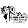 Image 1 : ECWSF Advertising Package (Inside Front Cover)