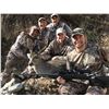 Image 1 : Arizona Coues Deer Hunt (w/Mt.Lion bonus) for 2 Hunters