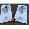 69SA  ECWSF Cornhole Boards