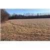 Image 1 : Missouri Pheasant Hunt for Two