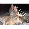 Image 1 : Alberta, Canada Trophy Whitetail Deer Hunt