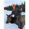 Image 1 : Wyoming – Youth Cow Elk Hunt for 2026