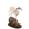 Image 1 : Taxidermy - Life-size Taxidermy Mount including Hardwood Base with Habitat Display