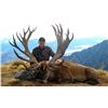 Image 1 : New Zealand Red Stag – up to 400 SCI