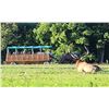 Image 2 : Pennsylvania Elk-Rut Experience for 4 (2 days/2 nights)