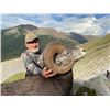 Image 1 : Bighorn Sheep Hunt in Alberta Canada