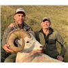 Image 1 : Alaska - Brooks Range Trophy Dall Sheep Hunt in Exclusive Guide Use Area