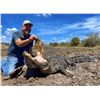 Image 1 : Florida - Trophy Alligator Hunt