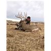 Image 1 : Alberta Trophy Whitetail Deer – 2026 Hunting Season