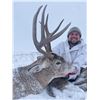 Image 3 : Alberta Trophy Whitetail Deer – 2026 Hunting Season