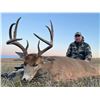 Image 5 : Alberta Trophy Whitetail Deer – 2026 Hunting Season