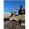 Image 6 : Alberta Trophy Whitetail Deer – 2026 Hunting Season