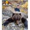 Image 1 : Alaska – Spring Grizzly Bear and Wolf Hunt