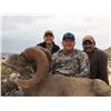 Image 1 : Desert Bighorn Sheep Hunt in Sonora, Mexico