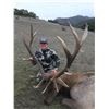 Image 4 : California Tule Elk Hunt