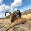 Image 1 : Texas Aoudad Sheep Hunt – 1 hunter and 1 non-hunter