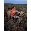 Image 1 : New Brunswick Canada – Provincial Moose Tag (First Ever!)