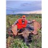 Image 2 : New Brunswick Canada – Provincial Moose Tag (First Ever!)