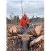 Image 3 : New Brunswick Canada – Provincial Moose Tag (First Ever!)