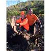 Image 5 : New Brunswick Canada – Provincial Moose Tag (First Ever!)