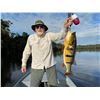 Image 1 : Brazil - Acute Angling - 2 Anglers Peacock Bass Trip