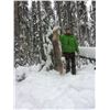 Image 2 : British Columbia – 2 Hunters Baited Wolf and Coyote Hunt