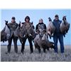 Image 1 : Montana - Missouri River Lodge X-Stream Hunting – Waterfowl Hunt