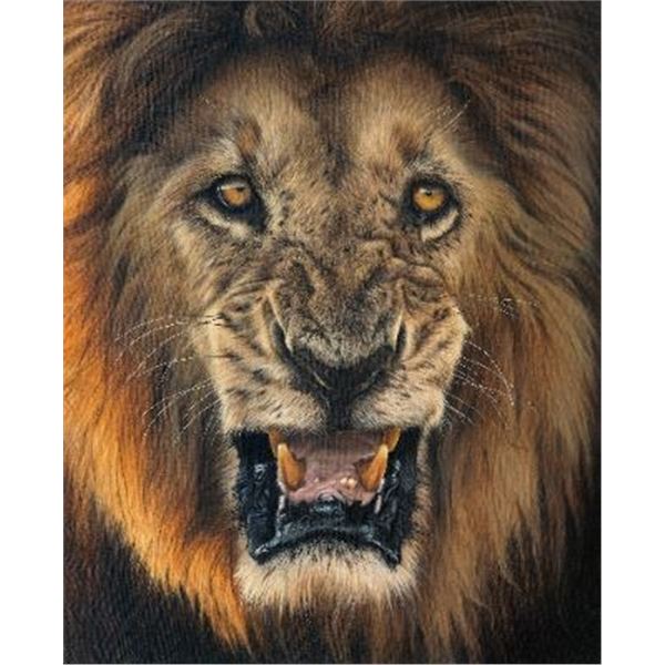 2025 SCI Artist of the Year