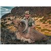 Image 1 : Texas – Ahren’s Ranch and Wildlife – Aoudad Hunt for 3 Hunters