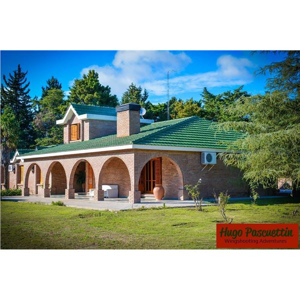 ARGENTINA DOVE HUNT FOR 4 HUNTERS