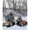 Image 1 : F03 1 Day Minnesota Youth Ram Hunt for One Hunter