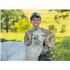 Image 2 : F03 1 Day Minnesota Youth Ram Hunt for One Hunter