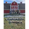 Image 8 : F06 3 Day Saskatchewan Duck/Canada/Specklebelly/Ross/Snow Goose/Sandhill Crane Hunt for One Hunter