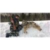 Image 1 : F07 5 Day Ontario Timberwolf Hunt for One Hunter, must bring one additional hunter