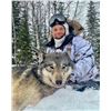 Image 2 : F07 5 Day Ontario Timberwolf Hunt for One Hunter, must bring one additional hunter