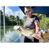 Image 1 : F12 6 Day Belize Jungle Adventure and River Fishing for Two Anglers for Snook, Permit, Tarpon
