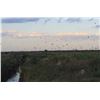 Image 2 : F17 4 Day Argentina Fishing, High Volume Dove, and Pigeon Shooting for Three Hunters