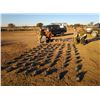 Image 4 : F17 4 Day Argentina Fishing, High Volume Dove, and Pigeon Shooting for Three Hunters