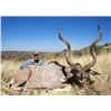 Image 9 : F20 5 Day Namibia Gemsbuck & Warthog Hunt for Two Hunters & Two Non-Hunters
