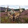 Image 3 : F22 7 Day Scotland Roe Deer Hunt for One Hunter includes Trophy Fees for Two Roe Bucks