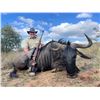 Image 8 : F23 10 Day South Africa Cape Buffalo Hunt for Two Hunters for One Cape Buffalo Bull