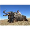 Image 10 : F25 7 Day South Africa Spiral-Horn Safari for Two Hunters & Two Non-Hunters includes Four Animals