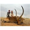 Image 13 : F25 7 Day South Africa Spiral-Horn Safari for Two Hunters & Two Non-Hunters includes Four Animals