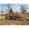 Image 16 : F25 7 Day South Africa Spiral-Horn Safari for Two Hunters & Two Non-Hunters includes Four Animals
