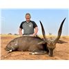 Image 8 : F25 7 Day South Africa Spiral-Horn Safari for Two Hunters & Two Non-Hunters includes Four Animals