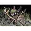 Image 1 : F28 3 Day Spain Hunt for One Hunter includes Trophy Fees for One Iberian Red Deer
