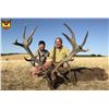 Image 2 : F28 3 Day Spain Hunt for One Hunter includes Trophy Fees for One Iberian Red Deer