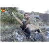 Image 5 : F28 3 Day Spain Hunt for One Hunter includes Trophy Fees for One Iberian Red Deer