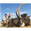 Image 6 : F29 8 Day South Africa Bass and Tiger Fishing Trip for Four Anglers
